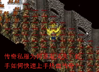 ����˽��Ϊ������ʧ��������ο���������Ѫ���棿