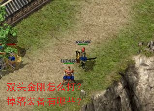 ˫ͷ�����ô�򣿵���װ������Щ��