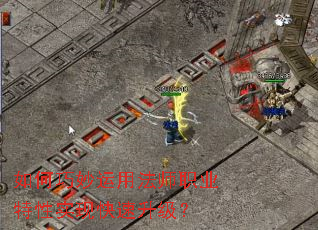 ����������÷�ʦְҵ����ʵ�ֿ���������