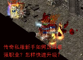 ����˽���������ѡ����ǿְҵ����������������