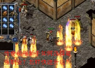 ����˽���������ѡ����ǿְҵ����������������