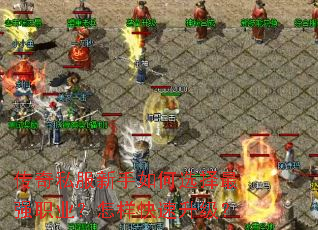 ����˽���������ѡ����ǿְҵ����������������