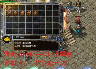 ����˽���������ѡ����ǿְҵ����������������