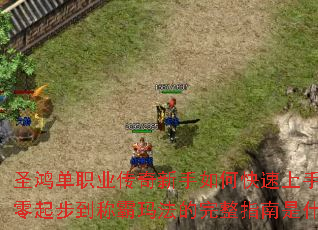 ʥ�赥ְҵ����������ο������֣������𲽵��ư��귨������ָ����ʲô��