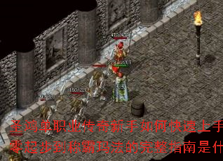 ʥ�赥ְҵ����������ο������֣������𲽵��ư��귨������ָ����ʲô��