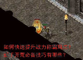 ��ο�������ս���ư��귨�����ֿ��ıر���������Щ��