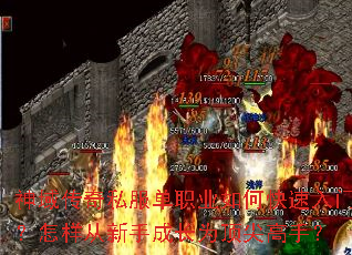 ������˽����ְҵ��ο������ţ����������ֳɳ�Ϊ������֣�