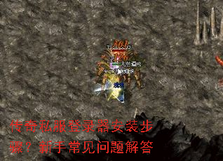 传奇私服登录器安装步骤?新手常见问题解答 传奇私服登录器安装步骤?新手常见问题解答