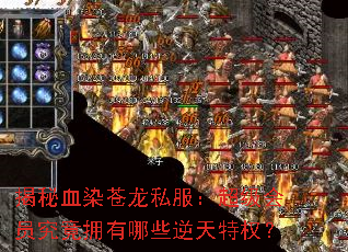 ����ѪȾ����˽����������Ա����ӵ����Щ������Ȩ��