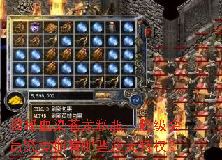 ����ѪȾ����˽����������Ա����ӵ����Щ������Ȩ��