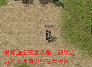 ����ѪȾ����˽����������Ա����ӵ����Щ������Ȩ��