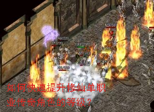 ��ο����������ɵ�ְҵ�����ɫ�ĵȼ���