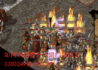 ��ο������������Ų���303300249��ս������