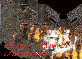 ��ο������������Ų���303300249��ս������