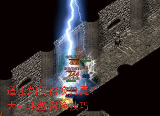 ��ʿ����ٻ����飿��������ٻ�����