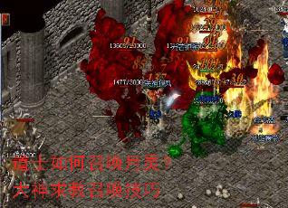 ��ʿ����ٻ����飿��������ٻ�����