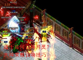 ��ʿ����ٻ����飿��������ٻ�����