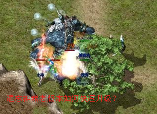 ���������ϰ汾��ο���������