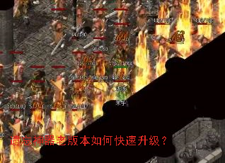 ���������ϰ汾��ο���������