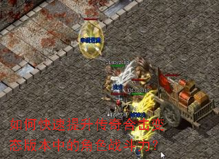 ��ο�����������ϻ���̬�汾�еĽ�ɫս������