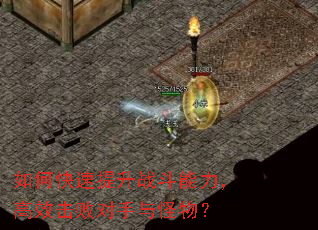 ��ο�������ս����������Ч���ܶ�������