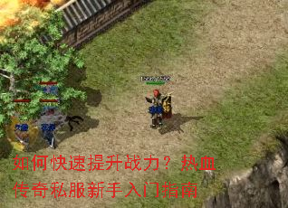 ��ο�������ս������Ѫ����˽����������ָ��