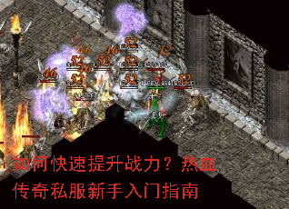 ��ο�������ս������Ѫ����˽����������ָ��