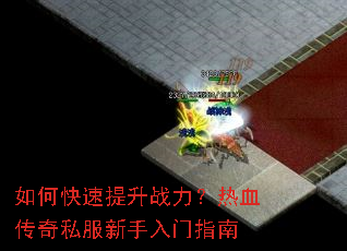 ��ο�������ս������Ѫ����˽����������ָ��