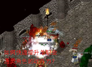 ��ο���������ְҵͨ���ɫ��ս������