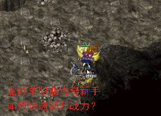 ������ְҵ����������ο�������ս����