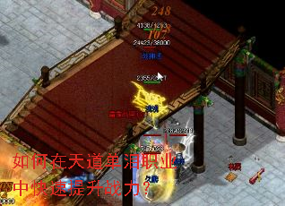 ������������ְҵ�п�������ս����