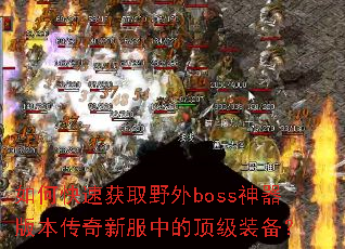 ��ο��ٻ�ȡҰ��boss�����汾�����·��еĶ���װ����