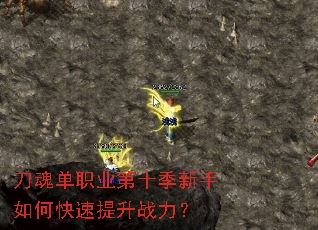 ���굥ְҵ��ʮ��������ο�������ս����