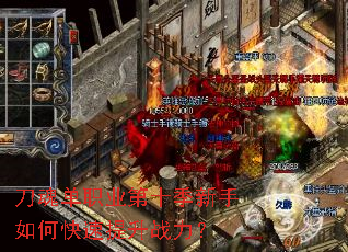 ���굥ְҵ��ʮ��������ο�������ս����