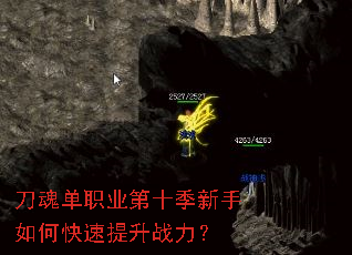 ���굥ְҵ��ʮ��������ο�������ս����