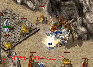 �Ž紫��������ο������֣�