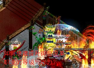 ��ο���������������ְҵ�ĵȼ���ս����