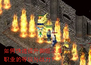 ��ο���������������ְҵ�ĵȼ���ս����