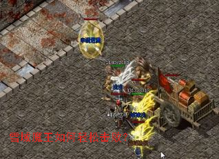 ѩ��ħ��������ɻ��ܣ�