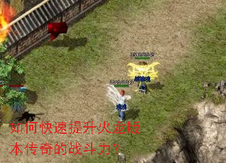 ��ο������������汾�����ս������