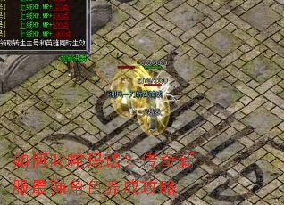 ���߳���귩�������·���ǿ��ɫ���ɹ���