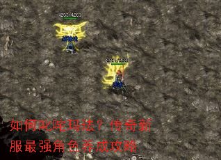 ���߳���귩�������·���ǿ��ɫ���ɹ���