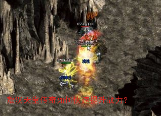 �������ô�����ο�������ս����