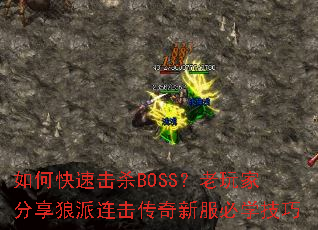 ��ο��ٻ�ɱBOSS������ҷ����������������·���ѧ����