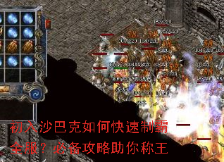 ����ɳ�Ϳ���ο����ư�ȫ�����ر������������