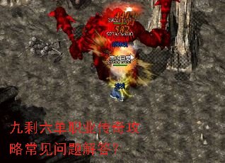 ��ʣ����ְҵ���湥�Գ���������