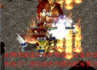 ��ο���������ɫ�ȼ���װ����ȡ��ǿ������Щ���ɣ���ɳս�����Ŷ����Ҫ����ʲô��