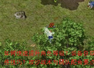 ��ο���������ɫ�ȼ���װ����ȡ��ǿ������Щ���ɣ���ɳս�����Ŷ����Ҫ����ʲô��