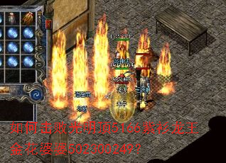 ��λ��ܹ�����5166��������������502300249��