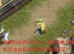 ��γ۳��һ�֮�أ��ʶ�����֮���¿��ϻ��·�����Щ�����ؼ���